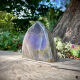 Large Labradorite Standing Freeform with Purple & Sunset Flash