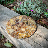 Polished Handmade Ammonite Table Plaques