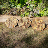 Polished Handmade Ammonite Table Plaques