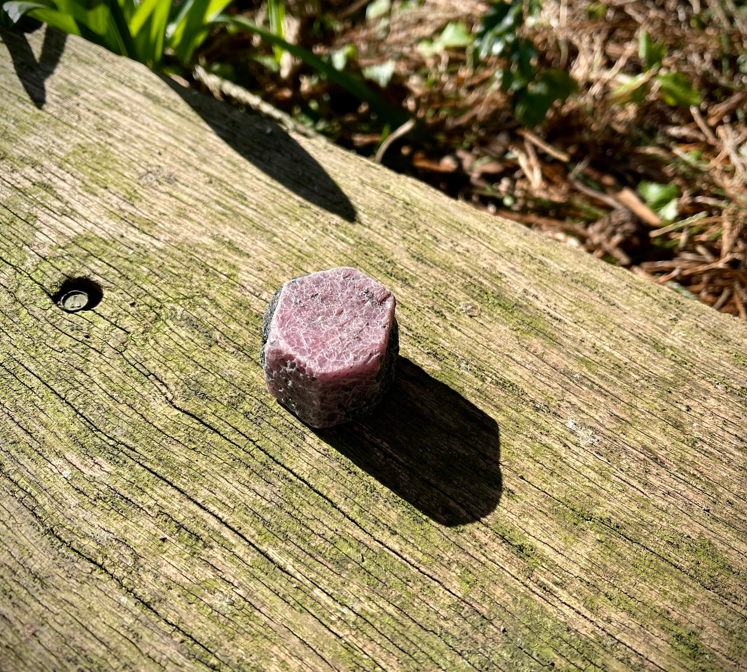 Raw Garnets with Black Tourmaline