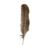 Turkey Smudge Feather 8-10"